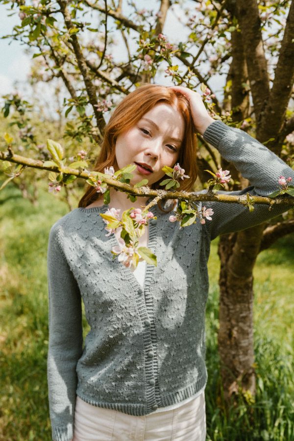 Dandelion (Lady mademoiselle) - Image 5